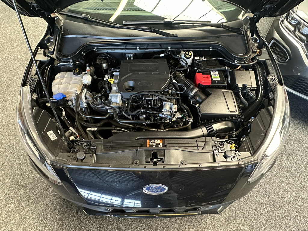 39908572-55.jpg