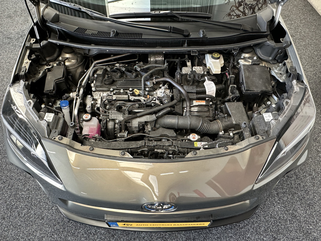43574246-45.jpg