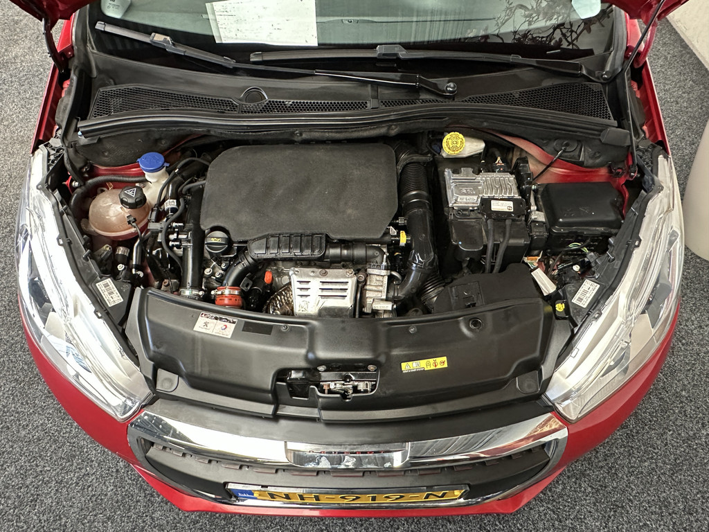 43577297-54.jpg