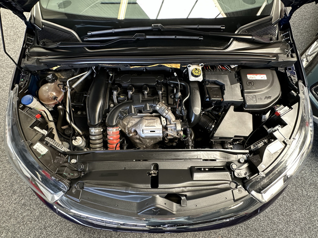 43645269-57.jpg