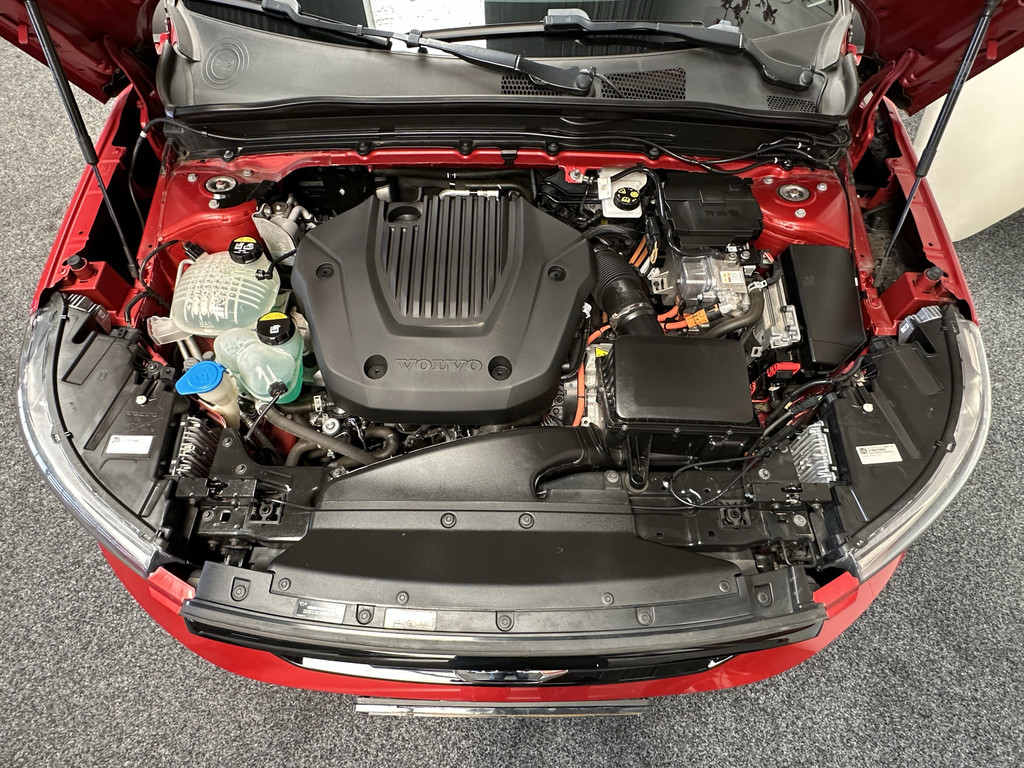 45589387-66.jpg