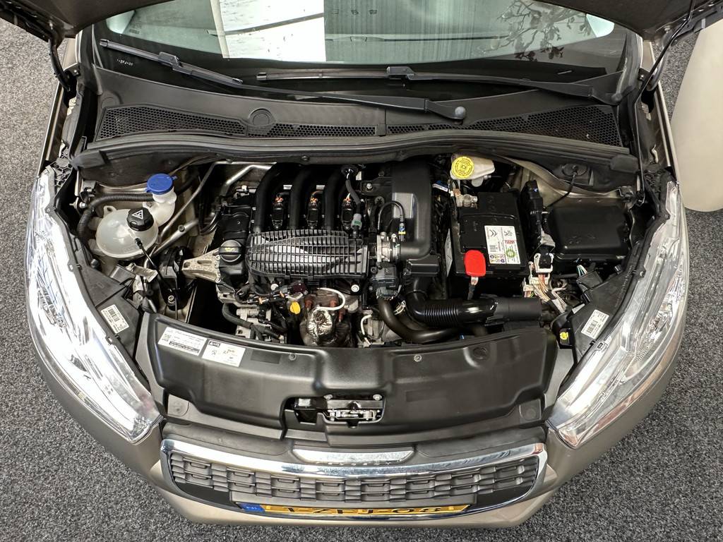 45631031-54.jpg