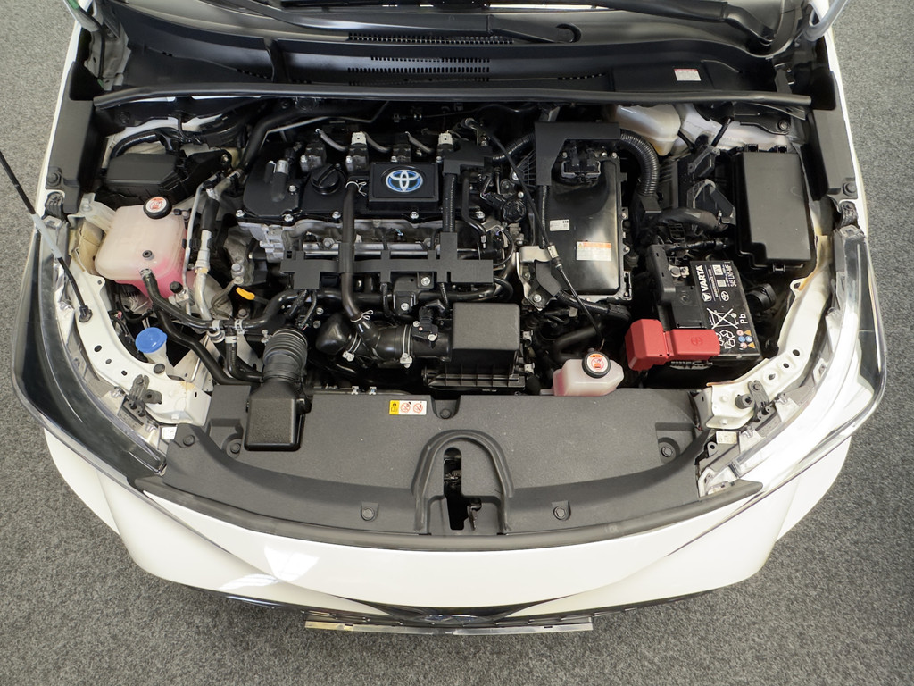 45850248-50.jpg
