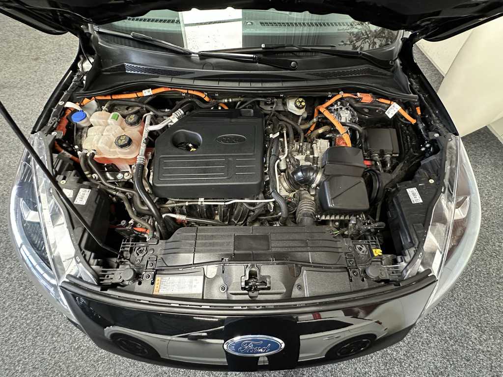46154782-55.jpg