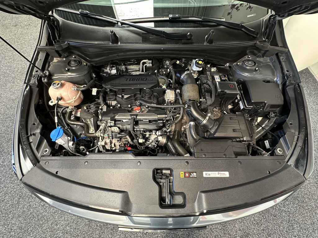 46298137-72.jpg