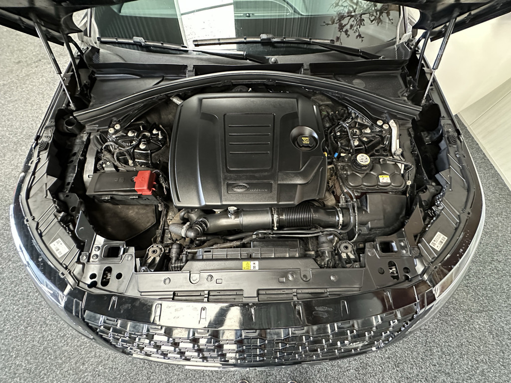 46312166-63.jpg