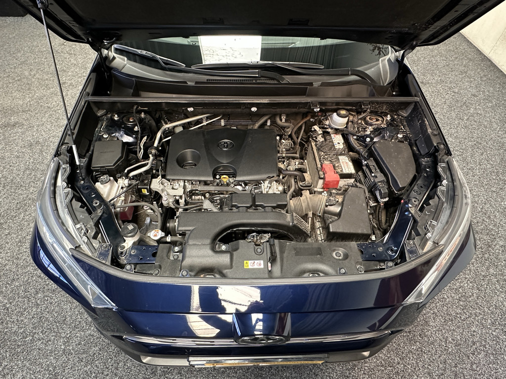 46687848-54.jpg