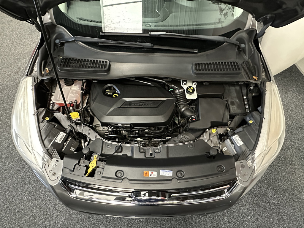 47754861-53.jpg