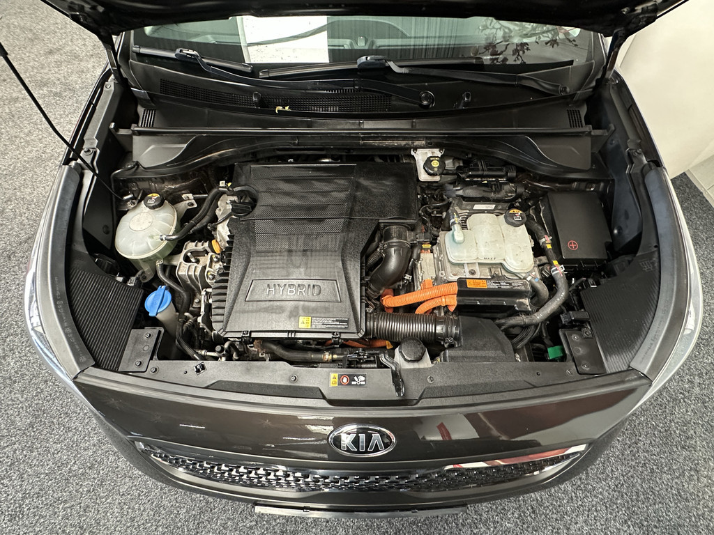 47917800-64.jpg