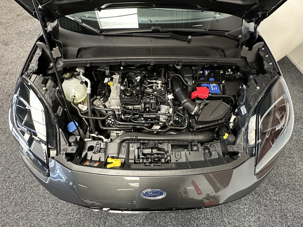 48048924-58.jpg