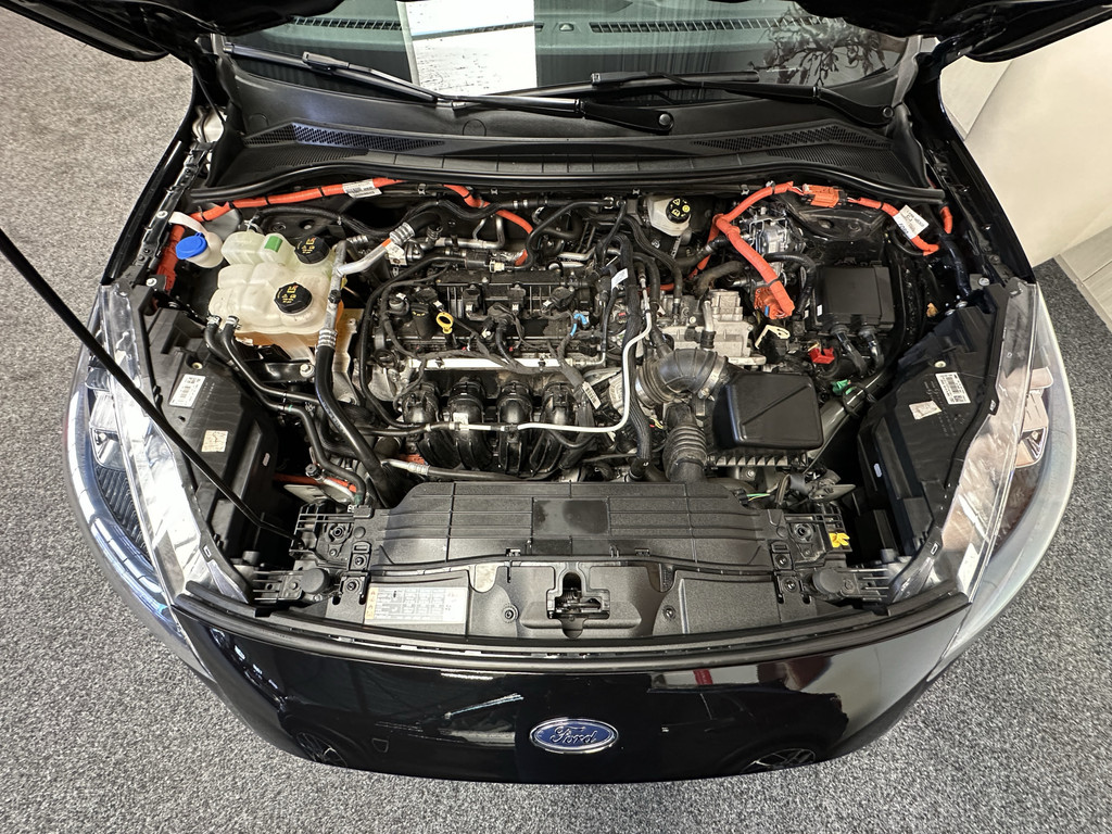 48380787-61.jpg