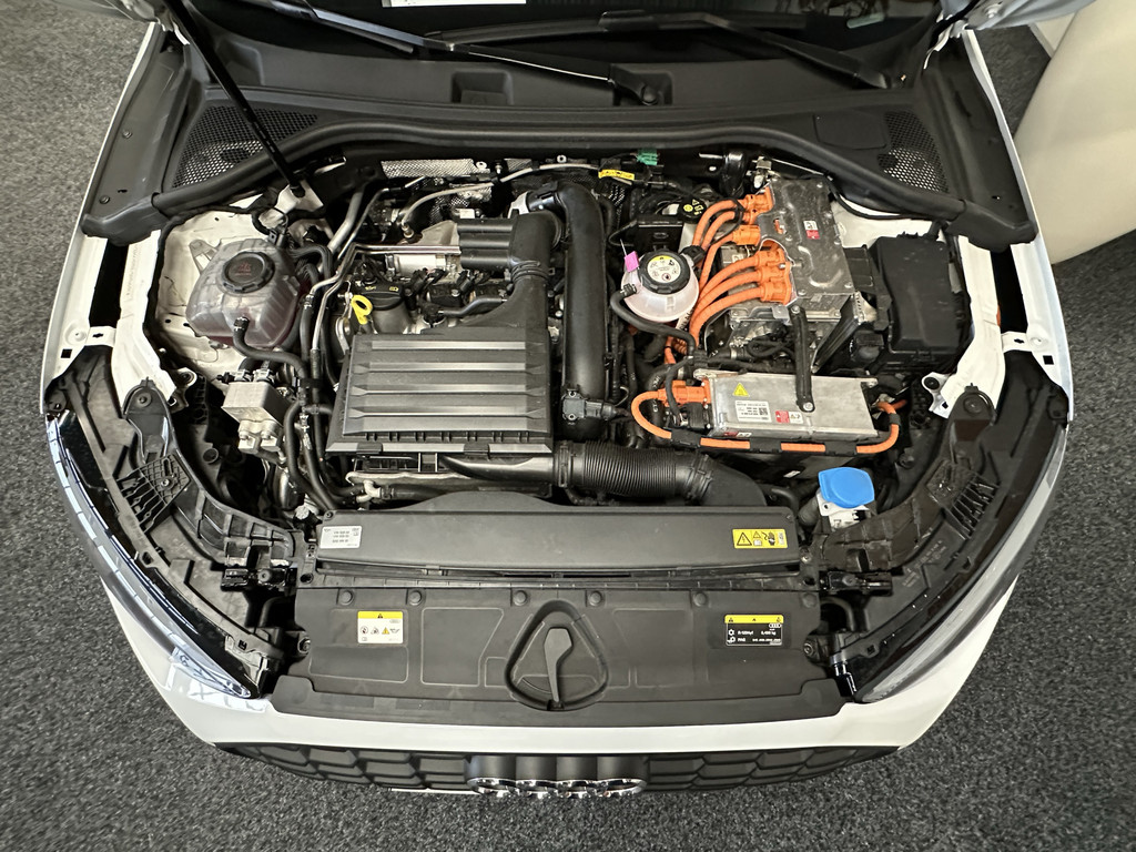 48380824-55.jpg