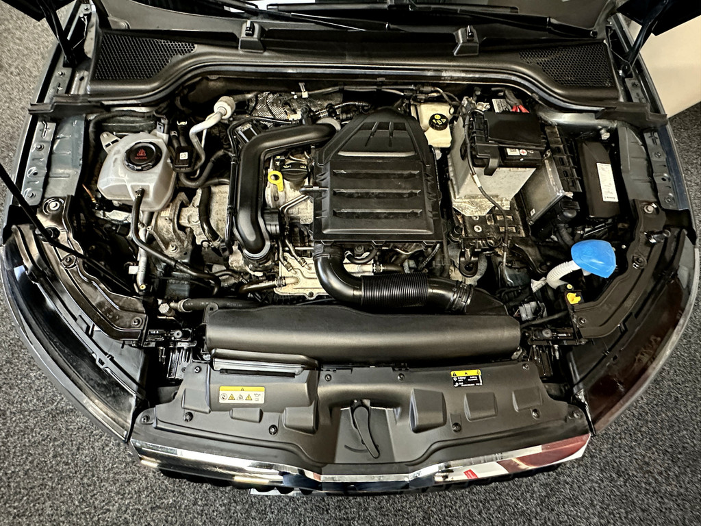 51178113-44.jpg