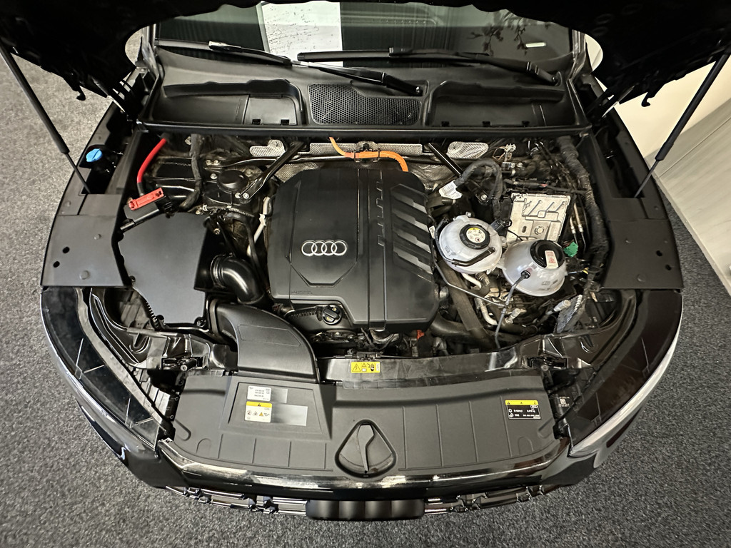 51313408-69.jpg