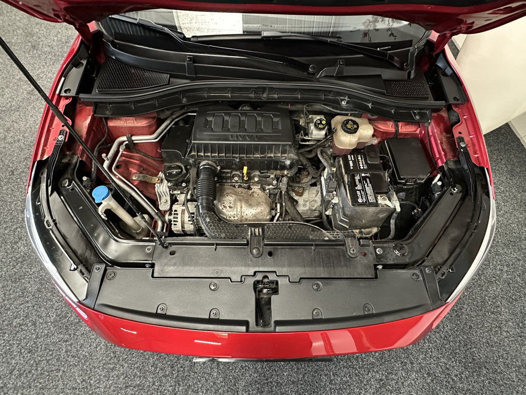 55517704-55.jpg