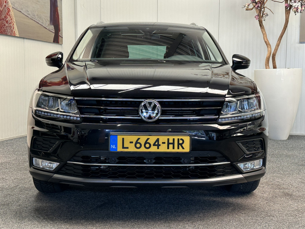 56223194-2.jpg