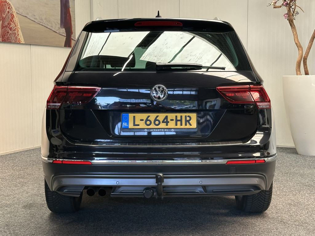56223194-6.jpg