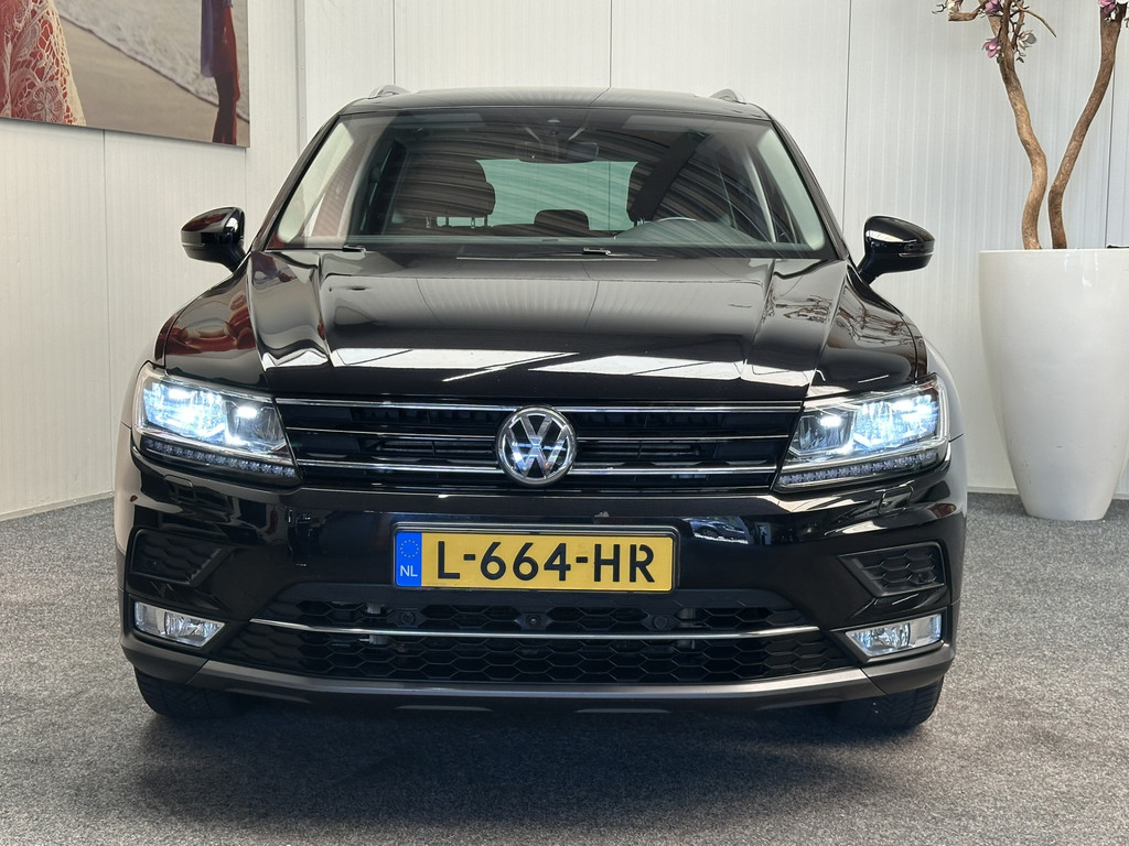 56223194-64.jpg