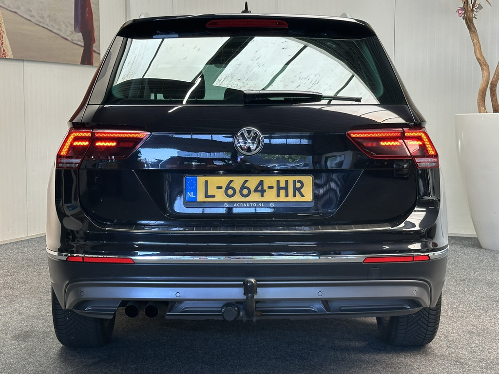 56223194-66.jpg